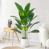 Luxurious Large Tropical Palm for Elegant Home Decor