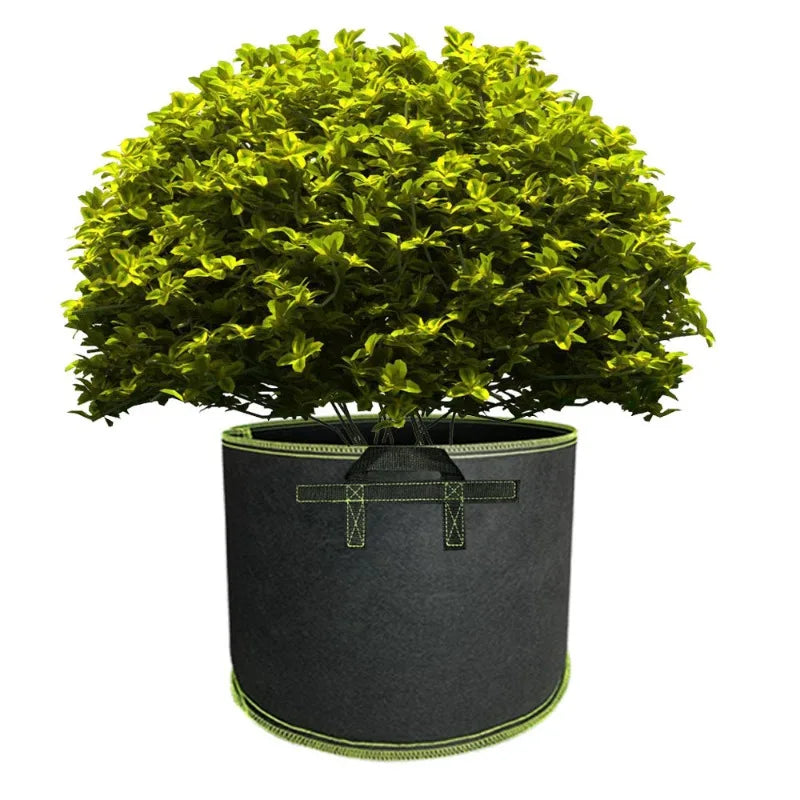 Premium Fabric Grow Bags for Optimal Plant Growth