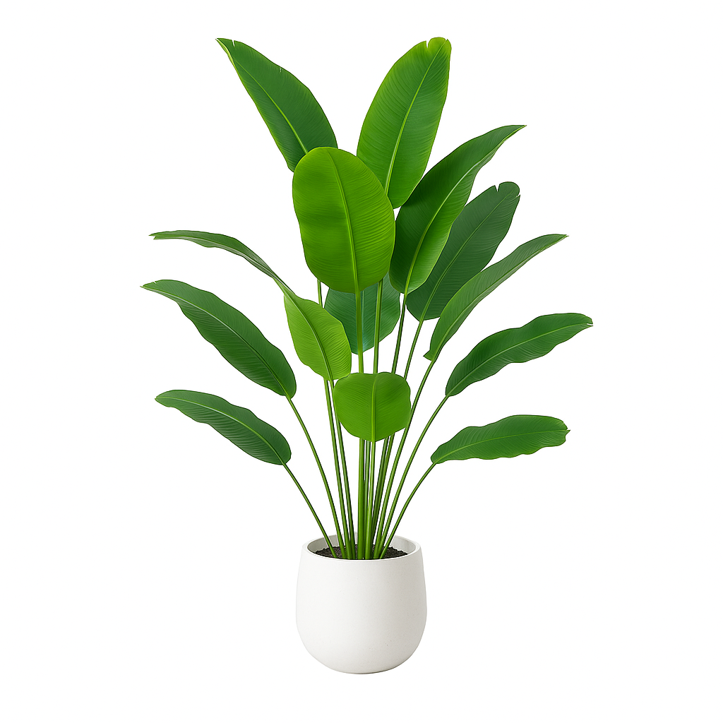 Luxurious Large Tropical Palm for Elegant Home Decor