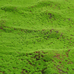 Luxurious Artificial Grass Rug for Elegant Home Décor