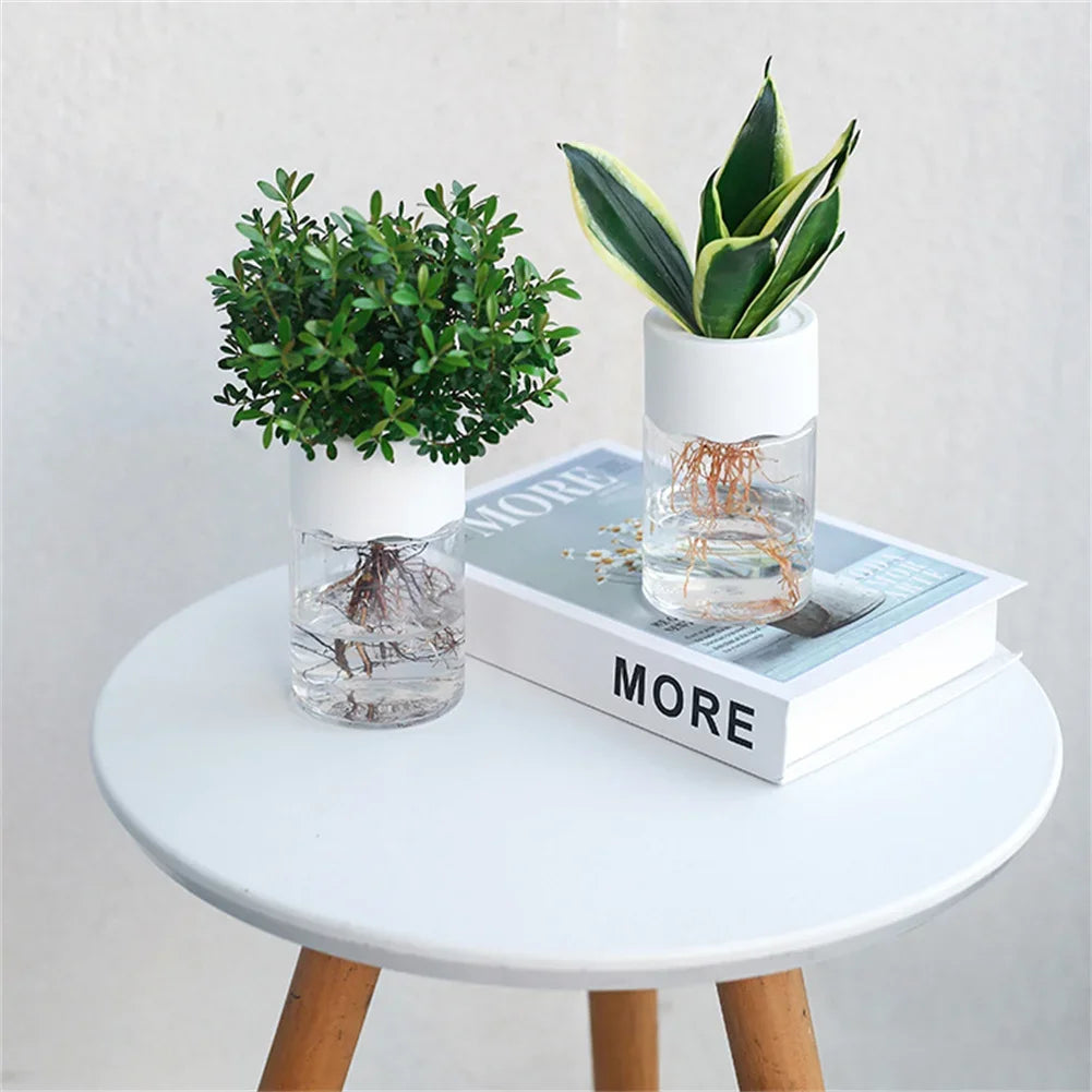 Elegant Hydroponic Plant Vase - Modern Home Decor