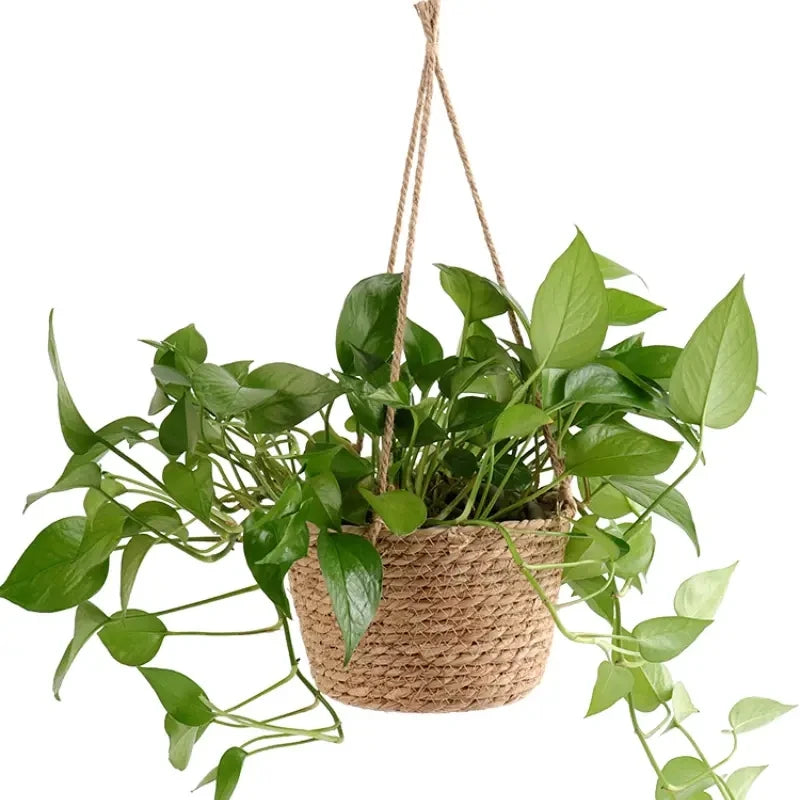 Elegant Jute Hanging Planter Set - Indoor & Outdoor Décor