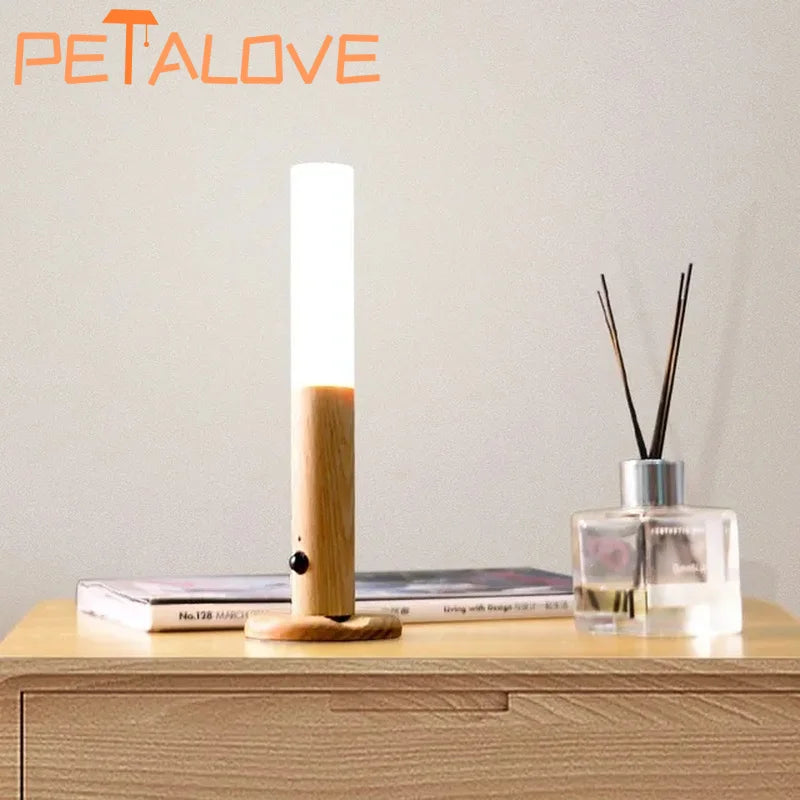 Intelligent LED Motion Sensor Night Light