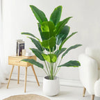 Luxurious Large Tropical Palm for Elegant Home Decor