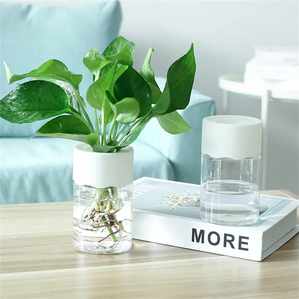 Elegant Hydroponic Plant Vase - Modern Home Decor