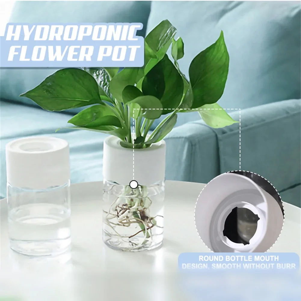 Elegant Hydroponic Plant Vase - Modern Home Decor