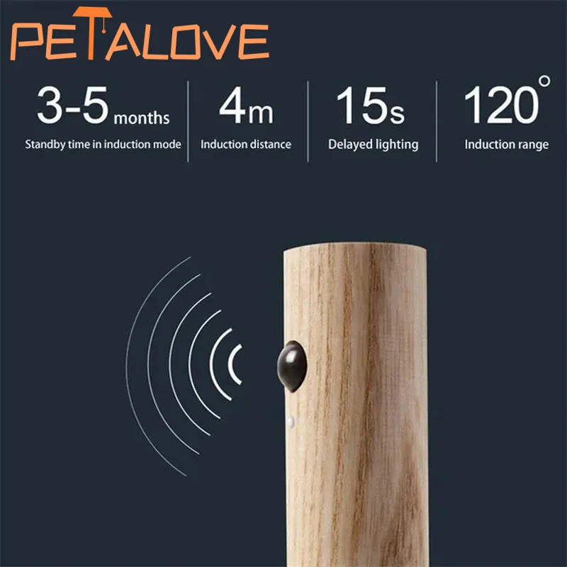 Intelligent LED Motion Sensor Night Light
