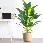 Luxurious Large Tropical Palm for Elegant Home Decor