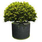 Premium Fabric Grow Bags for Optimal Plant Growth