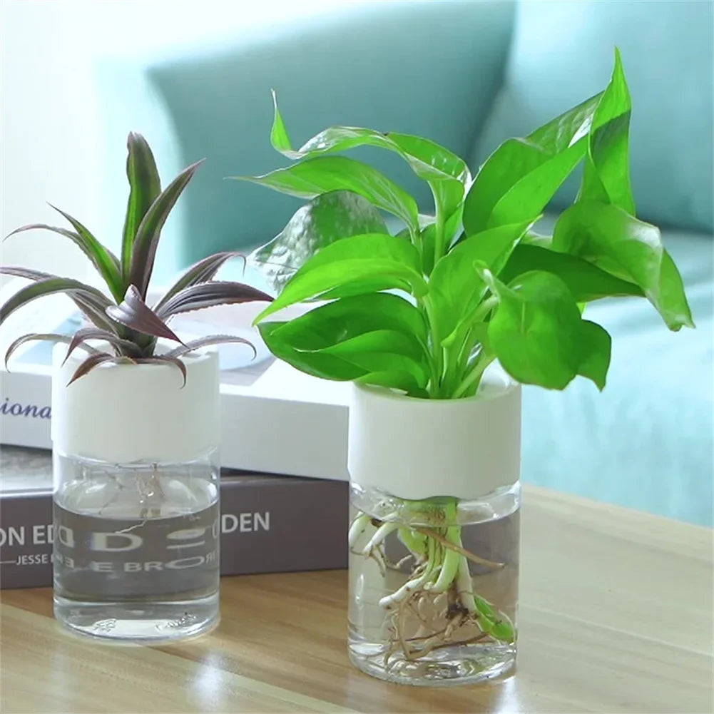 Elegant Hydroponic Plant Vase - Modern Home Decor